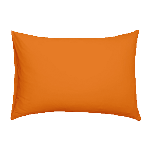 Custom Pillows in South Bend, Indiana